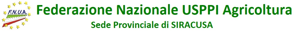 FNUA SIRACUSA Logo