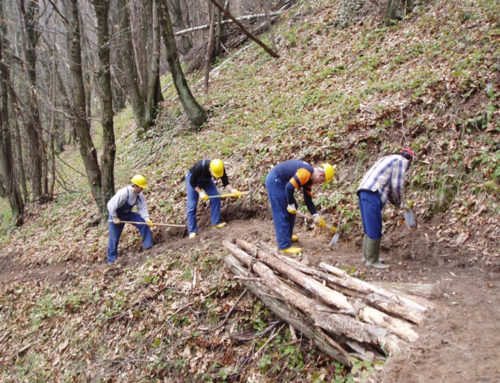 Forestali Regione Siciia – N. 60 addetti accoglienza